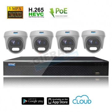 Videosorveglianza POE 4 telecamere 5MPX