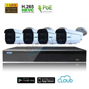 kit videosorveglianza poe professionale 5MPX