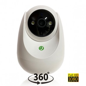 Telecamera PTZ motorizzata EZVIZ wireless